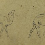 bernard boutet de monvel orientalisme art-déco esquisse dessin etude dromadaires chameaux (3)