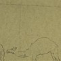 bernard boutet de monvel orientalisme art-déco esquisse dessin etude dromadaires chameaux (2)
